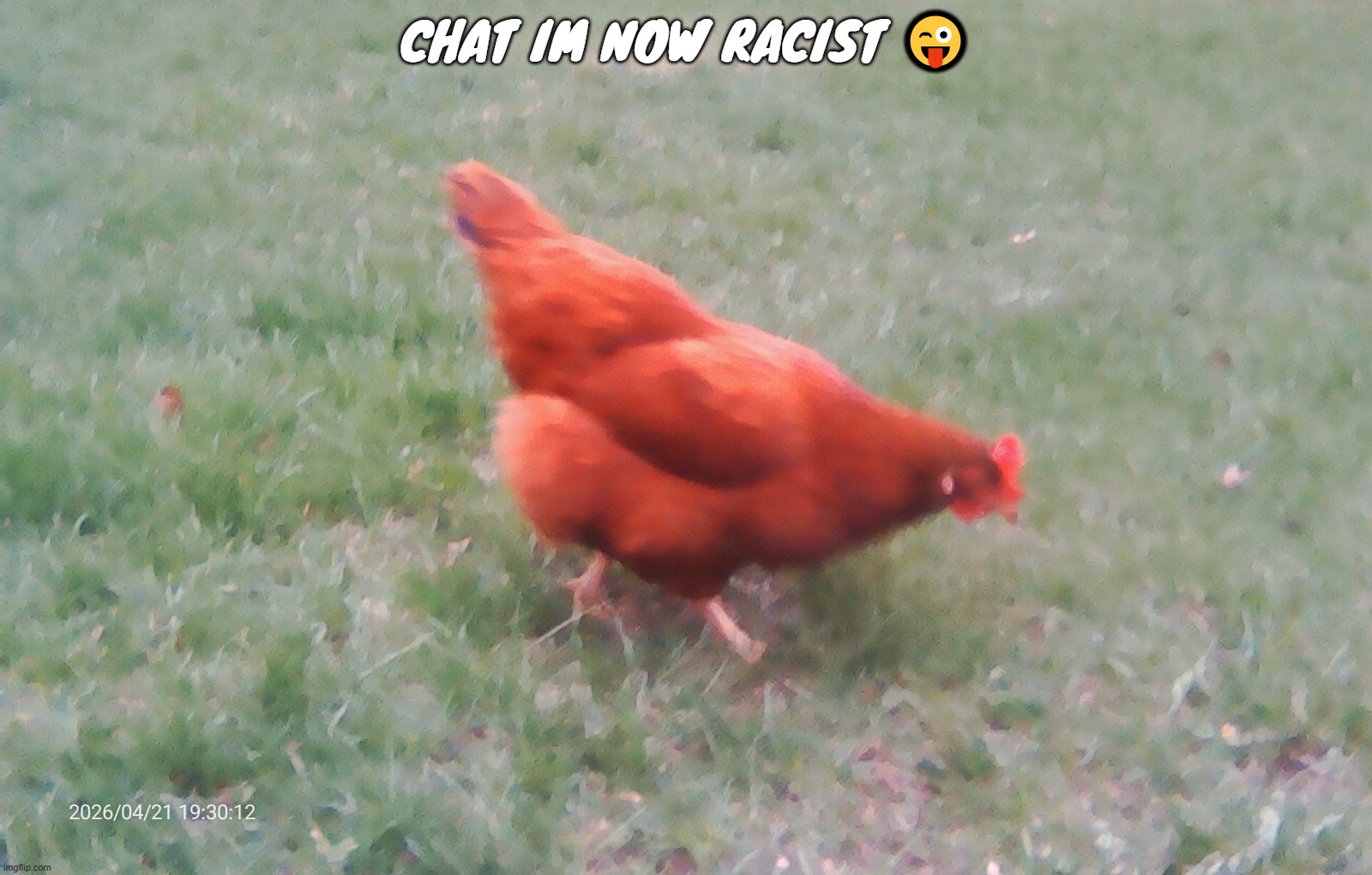 check tags | chat im now racist 😜 | image tagged in obvious satire that garfieldfan will fall for | made w/ Imgflip meme maker