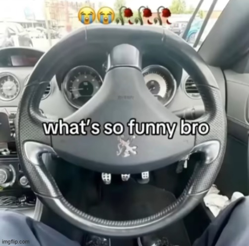 "sunshine and rainbows" ahh steering wheel | image tagged in smile | made w/ Imgflip meme maker