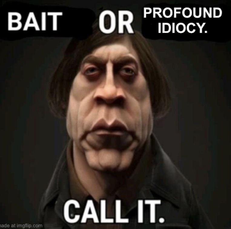 High Quality Bait or profound idiocy Blank Meme Template