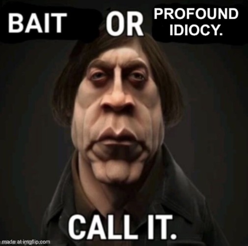 Since the mods are so sensitive I made this | image tagged in bait or profound idiocy | made w/ Imgflip meme maker