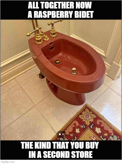 I Feel A Song Coming On ... | All Together now 
A Raspberry Bidet; The Kind That You Buy
 In A Second Store | image tagged in song lyrics,raspberry,bidet | made w/ Imgflip meme maker