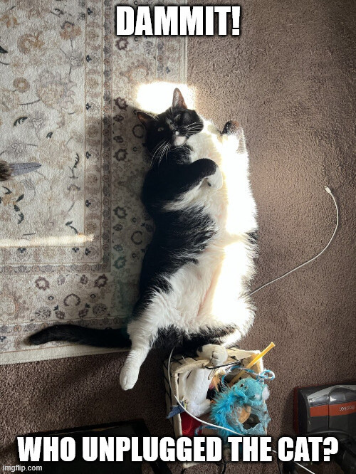 unplugged cat | image tagged in cats,funny cats,funny animals,i love cats | made w/ Imgflip meme maker