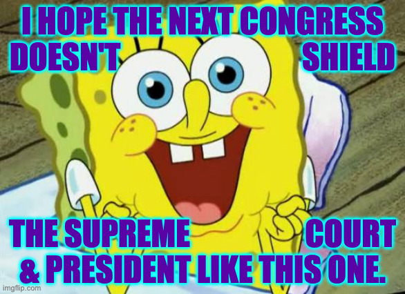Blank checks and balances. | i hope the next congress
doesn't                              shield; the supreme                   court
& president like this one. | image tagged in spongebob hopeful,memes,congress,toadies | made w/ Imgflip meme maker