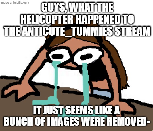 Uhhhhhh... | Guys, what the helicopter happened to the anticute_tummies stream; It just seems like a bunch of images were removed- | image tagged in stary_nova emily guest 666 crying adorably,oh wow are you actually reading these tags,why did i make this | made w/ Imgflip meme maker