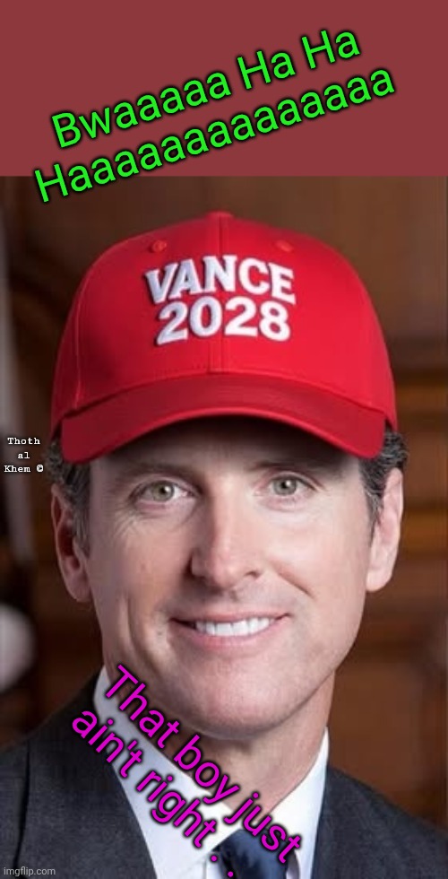 Gavin Newsom voting for JD Vance | Bwaaaaa Ha Ha Haaaaaaaaaaaaaa; Thoth al Khem ©; That boy just ain't right . . . | image tagged in traitor gavin newsom,gavin can't read,wants to be president,gavin destroyed california,humans are stupid,voting is rigged | made w/ Imgflip meme maker