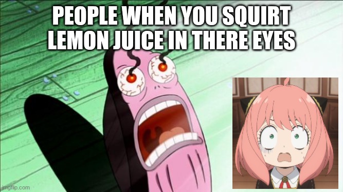 Spongebob My Eyes | people when you squirt lemon juice in there eyes | image tagged in spongebob my eyes | made w/ Imgflip meme maker