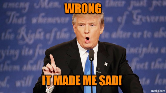 Donald Trump Wrong | Wrong; It made me sad! | image tagged in donald trump wrong | made w/ Imgflip meme maker
