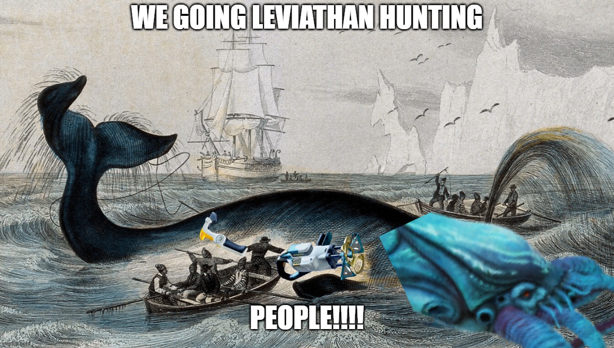 POV, Subnautica 2 with mods: | WE GOING LEVIATHAN HUNTING; PEOPLE!!!! | image tagged in subnautica | made w/ Imgflip meme maker