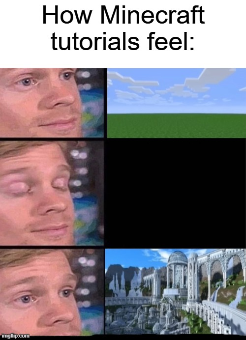 blinking guy vertical blank | How Minecraft tutorials feel: | image tagged in blinking guy vertical blank | made w/ Imgflip meme maker