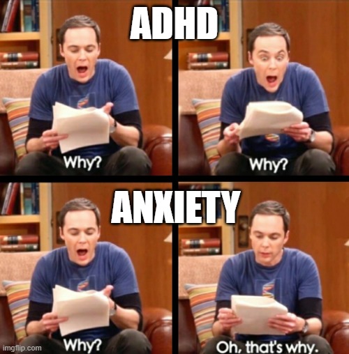 Why, why, why, Oh that's why | adhd; anxiety | image tagged in why why why oh that's why | made w/ Imgflip meme maker
