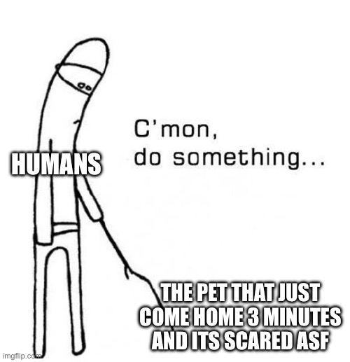 cmon do something | Humans; The pet that just come home 3 minutes and its scared asf | image tagged in cmon do something,pets | made w/ Imgflip meme maker