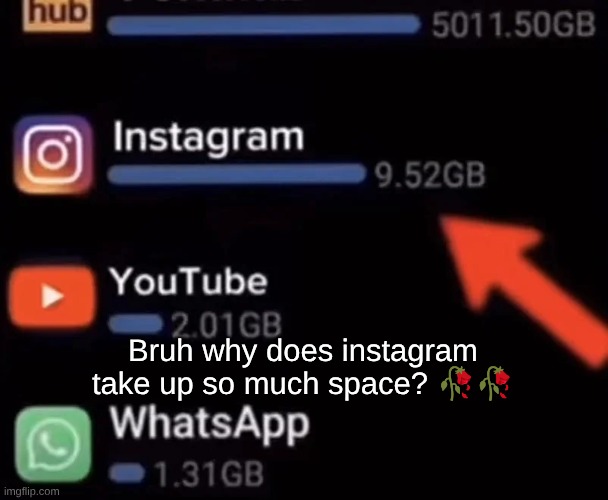 Bruh why does instagram take up so much space? 🥀🥀 | made w/ Imgflip meme maker