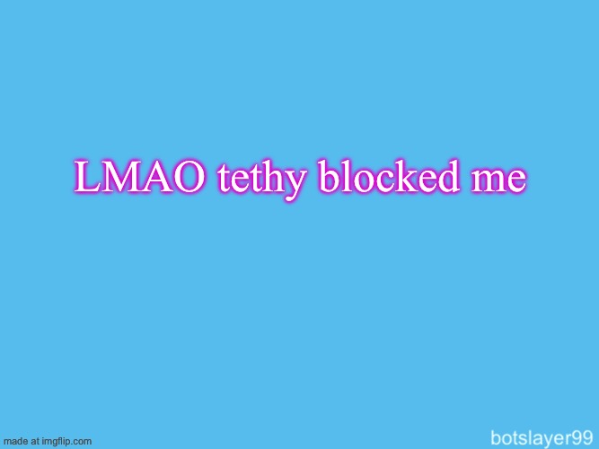 botslayer announcement temp | LMAO tethy blocked me | image tagged in botslayer announcement temp | made w/ Imgflip meme maker