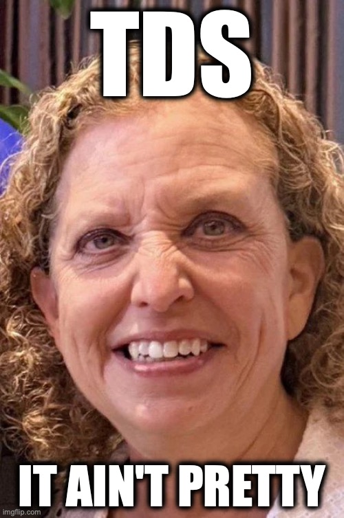 Wasserman-Schultz | tds; it ain't pretty | image tagged in image 46 jpeg | made w/ Imgflip meme maker