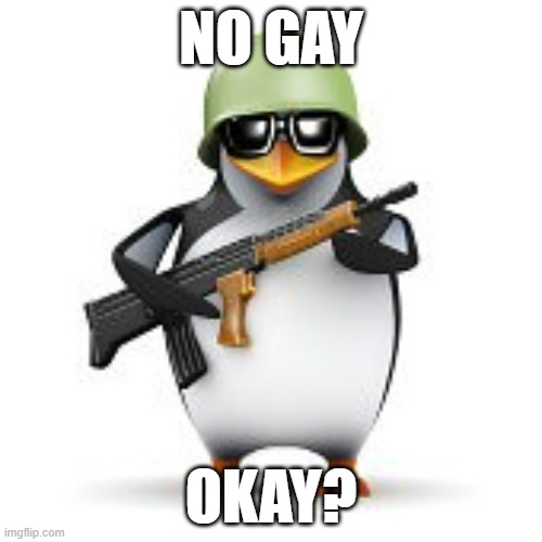 Just setting up the rules as this stream comes to life | no gay; okay? | image tagged in no anime penguin,memes,conservative,pride month,christian | made w/ Imgflip meme maker