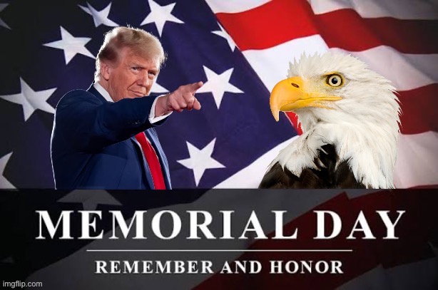 image tagged in memorial day | made w/ Imgflip meme maker