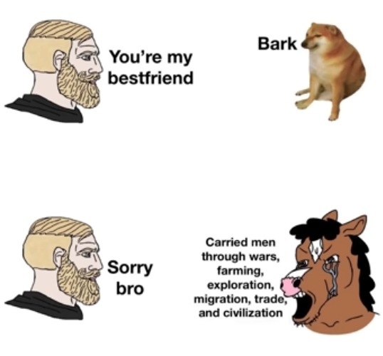 image tagged in dogs,horses,bark,animals,humans,true | made w/ Imgflip meme maker