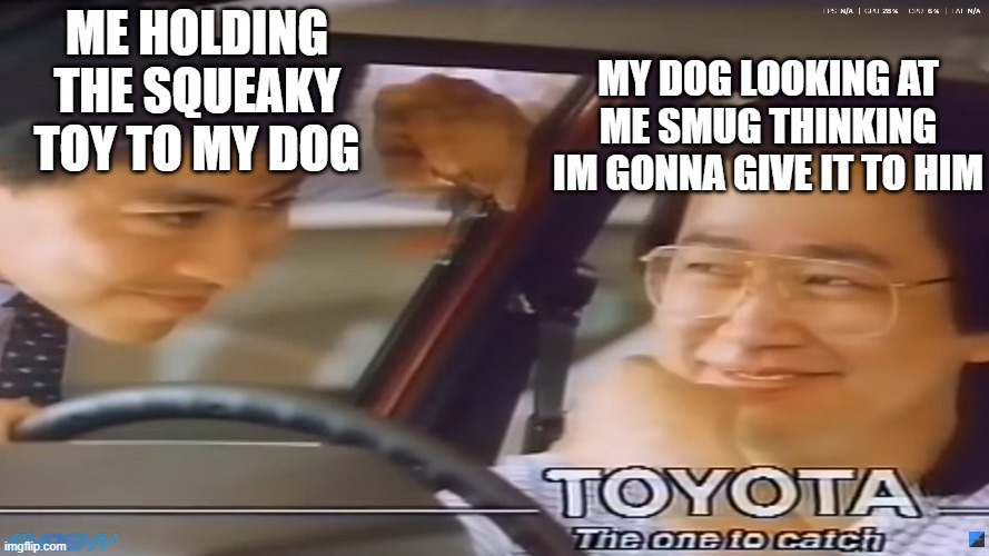 actual toyota ad btw | my dog looking at me smug thinking im gonna give it to him; me holding the squeaky toy to my dog | image tagged in toyota corolla ad | made w/ Imgflip meme maker