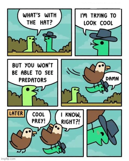 image tagged in comics | made w/ Imgflip meme maker