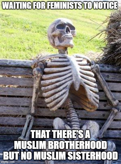 Waiting Skeleton Meme | waiting for feminists to notice; that there's a Muslim brotherhood but no muslim sisterhood | image tagged in memes,waiting skeleton | made w/ Imgflip meme maker