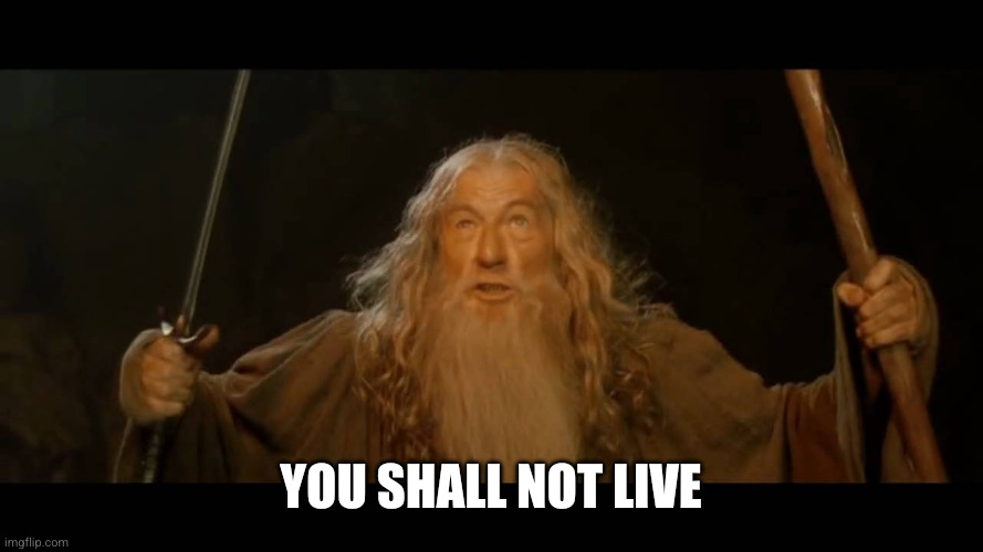 Gandalf - you shall not pass | You shall not live | image tagged in gandalf - you shall not pass | made w/ Imgflip meme maker