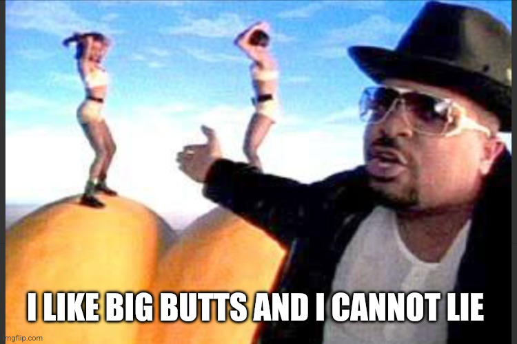 I like big butts and I can not lie  | I like big butts and I cannot lie | image tagged in i like big butts and i can not lie | made w/ Imgflip meme maker