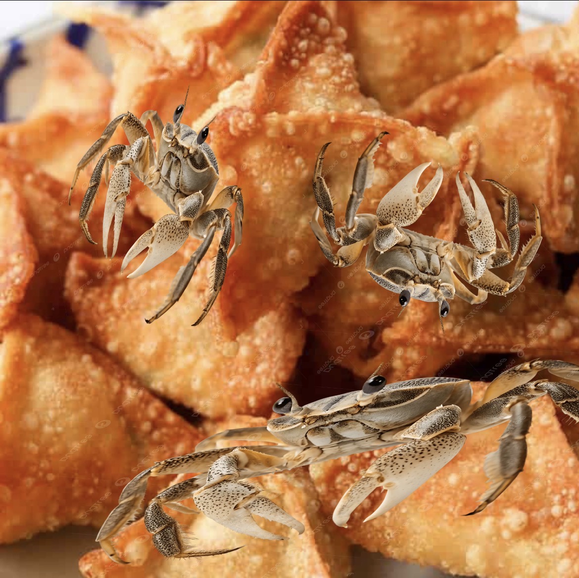 Your telling me a crab gooned in this rag Blank Meme Template