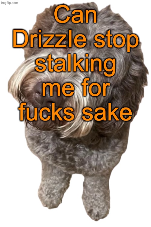 Istfg he harasses other users non-stop and gets away with it while other users get banned for just mentioning him | Can DrizzIe stop stalking me for fucks sake | image tagged in northers dog transparent | made w/ Imgflip meme maker