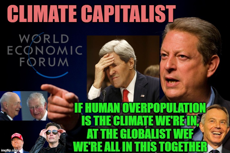 Memes, Al Gore | Climate Capitalist; if human overpopulation
is the climate we're in,
at the globalist wef
We're all in this together | image tagged in memes al gore | made w/ Imgflip meme maker