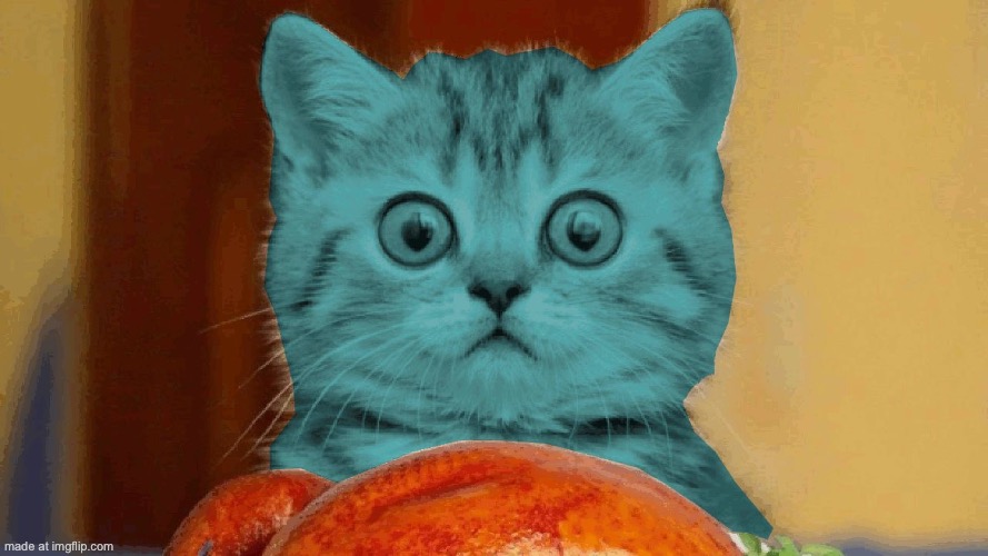 RayCat surprised | image tagged in raycat surprised | made w/ Imgflip meme maker