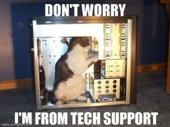 RayCat in Technical Support  | image tagged in raycat in technical support | made w/ Imgflip meme maker