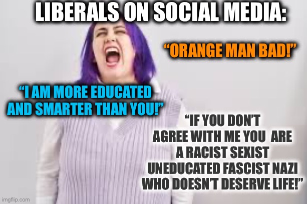 Sums it all up | Liberals on social media:; “Orange man bad!”; “If you don’t agree with me you  are a racist sexist uneducated fascist nazi who doesn’t deserve life!”; “I am more educated and smarter than you!” | image tagged in liberal logic,democrats,facebook,youtube,twitter,reddit | made w/ Imgflip meme maker