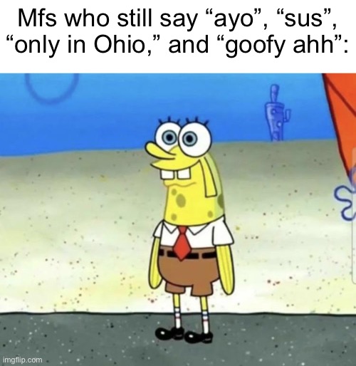 Mfs who still say “ayo”, “sus”, “only in Ohio,” and “goofy ahh”: | made w/ Imgflip meme maker
