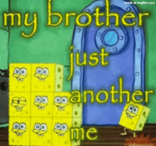 my brother just another me | image tagged in my brother just another me | made w/ Imgflip meme maker