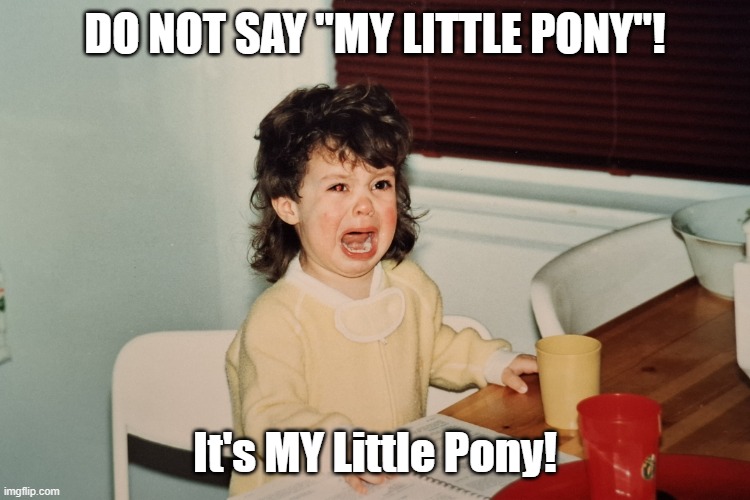 irrational toddler | Do NOT Say "My Little Pony"! It's MY Little Pony! | image tagged in irrational toddler | made w/ Imgflip meme maker