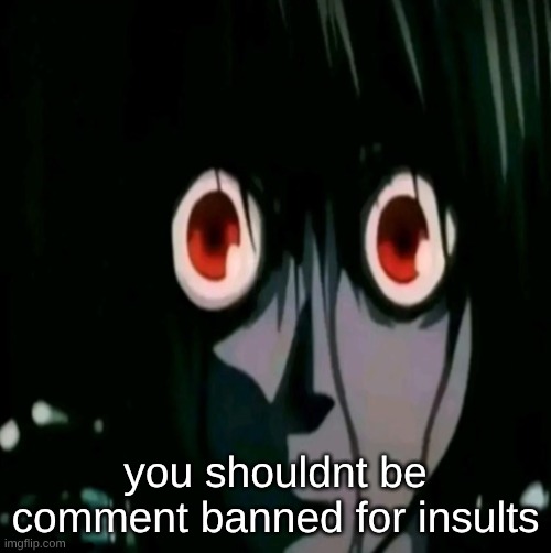 calling somebody gay is not harrassment that is just a childish insult and shouldnt warrant a ban just a warning. | you shouldnt be comment banned for insults | made w/ Imgflip meme maker