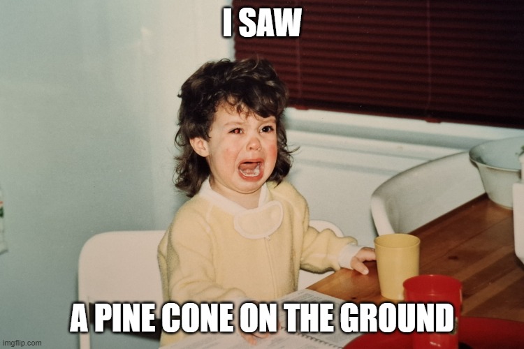 Tantrum Carolyn | I SAW; A PINE CONE ON THE GROUND | image tagged in tantrum carolyn,remix | made w/ Imgflip meme maker