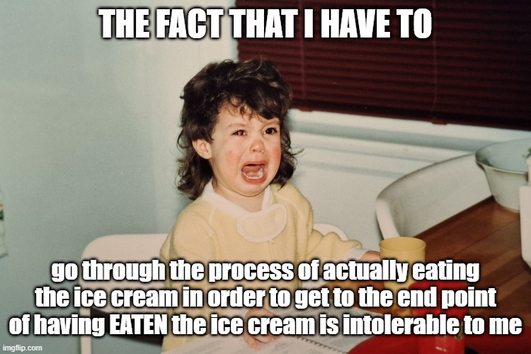 irrational toddler | The fact that I have to; go through the process of actually eating the ice cream in order to get to the end point of having EATEN the ice cream is intolerable to me | image tagged in irrational toddler | made w/ Imgflip meme maker