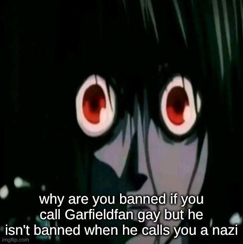 favoritism much | why are you banned if you call Garfieldfan gay but he isn't banned when he calls you a nazi | made w/ Imgflip meme maker