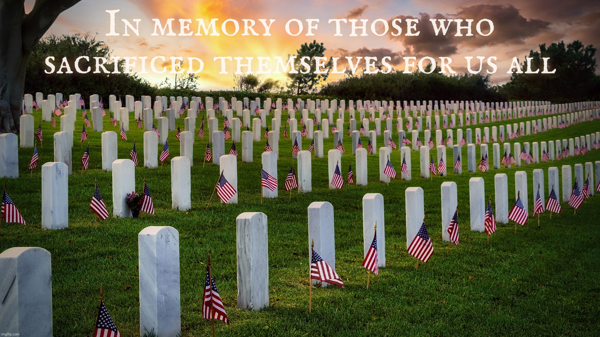 Memorial Day 2026 | In memory of those who sacrificed themselves for us all | image tagged in memorial day,remember the fallen,honoring those who sacrificed themselves,in the name of freedom,and americans | made w/ Imgflip meme maker