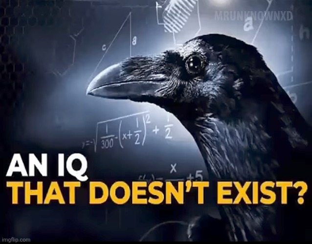 an iq that doesn't exist | image tagged in an iq that doesn't exist | made w/ Imgflip meme maker