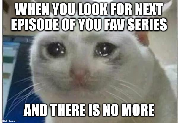 A wild title has appeared! | When you look for next episode of you fav series; And there is no more | image tagged in crying cat | made w/ Imgflip meme maker