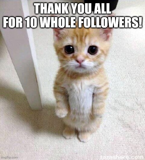 I'm serious, I can't believe that many people follow me. | Thank you all for 10 whole followers! | image tagged in memes,cute cat | made w/ Imgflip meme maker
