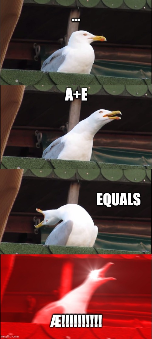 A+E=Æ | ... A+E; Equals; Æ!!!!!!!!!! | image tagged in memes,inhaling seagull | made w/ Imgflip meme maker