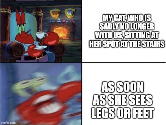 She has a weird relationship with feet, I guess :P | My cat, who is sadly no longer with us, sitting at her spot at the stairs; As soon as she sees legs or feet | image tagged in calm and angry | made w/ Imgflip meme maker