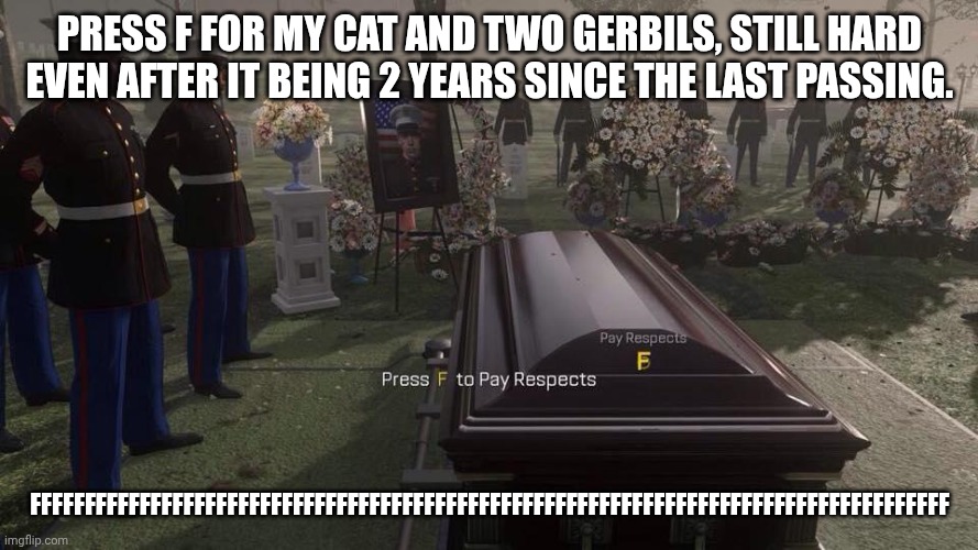 FFFFFFFFFFFFFFFFFFFFFFFFFFFFFFFFFFFFFFFFFFFFFFFFFFFFFFFFFFFFFFFFFFFFFFFFF | Press F for my cat and two gerbils, still hard even after it being 2 years since the last passing. ffffffffffffffffffffffffffffffffffffffffffffffffffffffffffffffffffffffffffffffffffff | image tagged in press f to pay respects | made w/ Imgflip meme maker