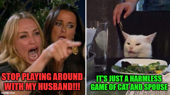 Besides, he gives me tuna | Stop playing around
with my husband!!! It's just a harmless game of cat and spouse | image tagged in angry lady cat | made w/ Imgflip meme maker