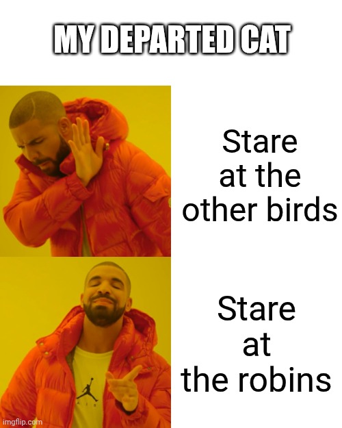 . | My departed cat; Stare at the other birds; Stare at the robins | image tagged in memes,drake hotline bling | made w/ Imgflip meme maker