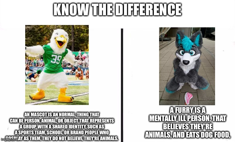 Bluey is an Mascot Not an Furry | KNOW THE DIFFERENCE; An mascot is an normal, thing that can Be person, animal, or object that represents a group with a shared identity, such as a sports team, school, or brand people who cosplay as them, they do not believe, they're Animals. A furry is a Mentally ill person, that Believes they're Animals, and eats Dog Food, | image tagged in know the difference psychic and side kick,bluey the fox,anti furry | made w/ Imgflip meme maker