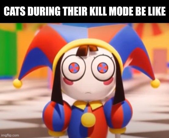 Pomni death stare | Cats during their kill mode be like | image tagged in memes,cat,staring | made w/ Imgflip meme maker